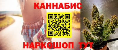 мдпв Камень-на-Оби