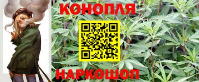 мдпв Камень-на-Оби